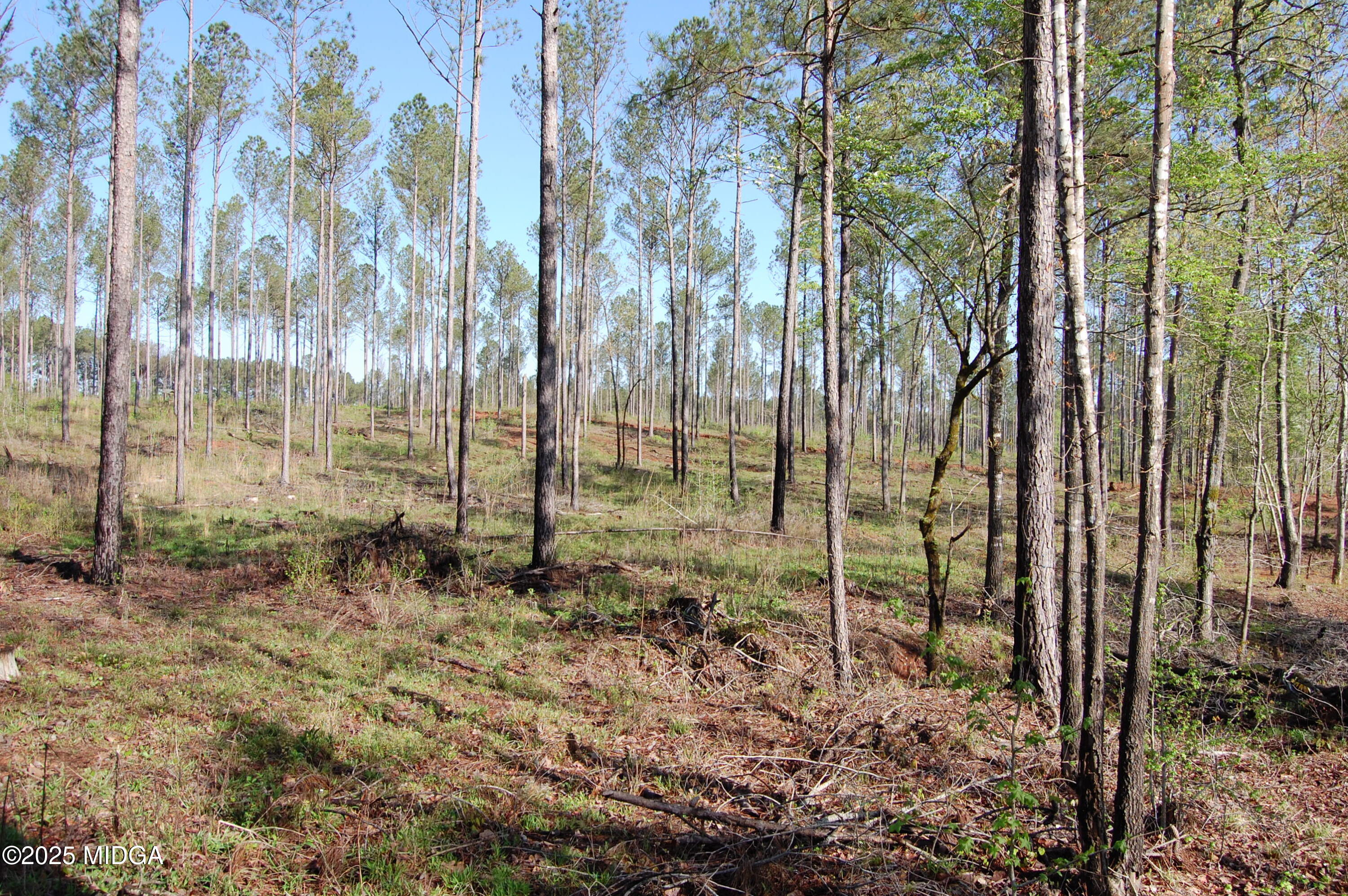 00000 Hwy 87 TRACT 5