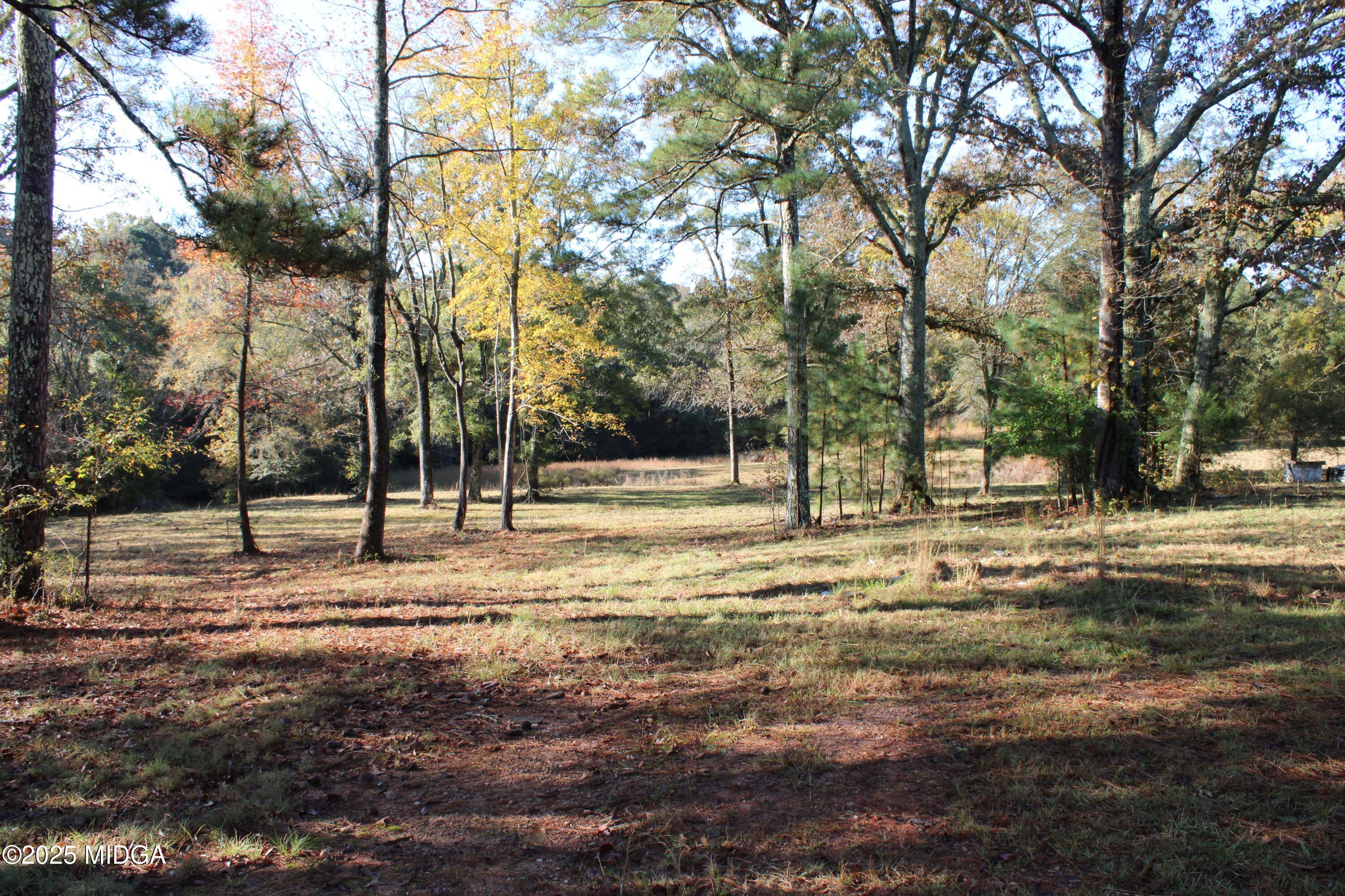 1731 Blue Springs Road