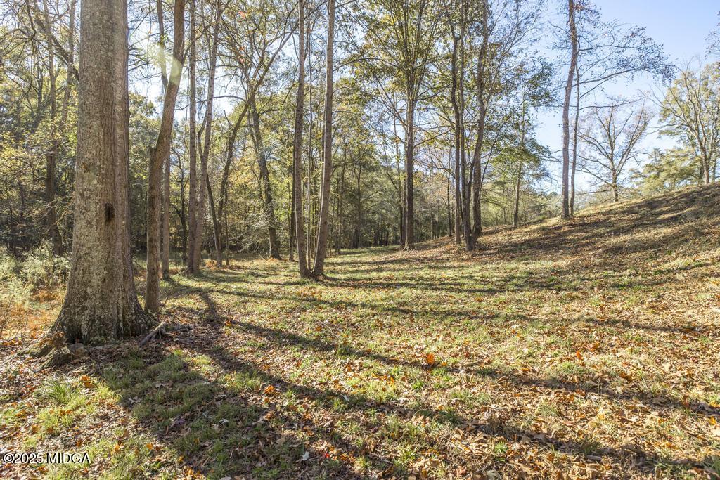 1731 Blue Springs Road