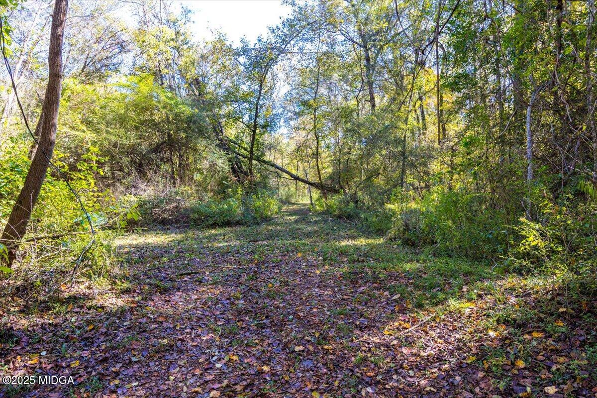 3471 GA Highway 42 N