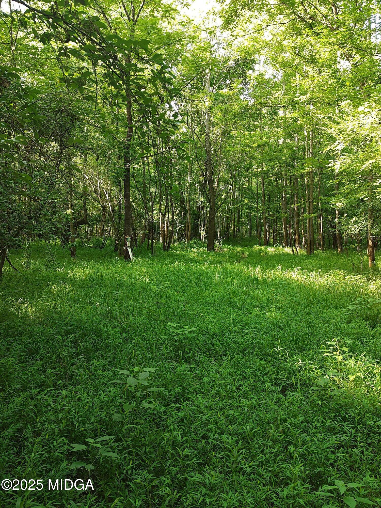 324 Hillsboro Lake Road
