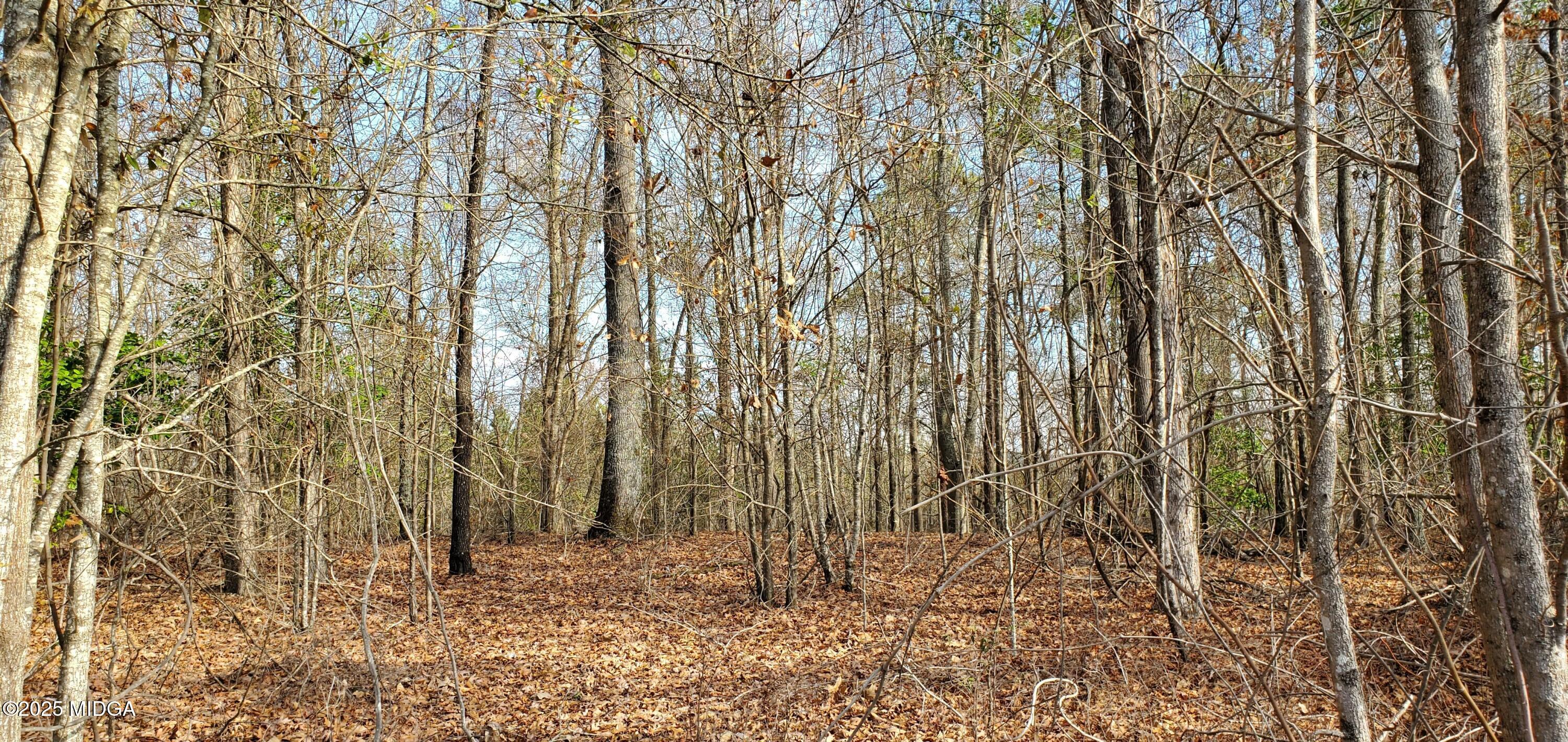 0 Highway 57 Lot 2-A