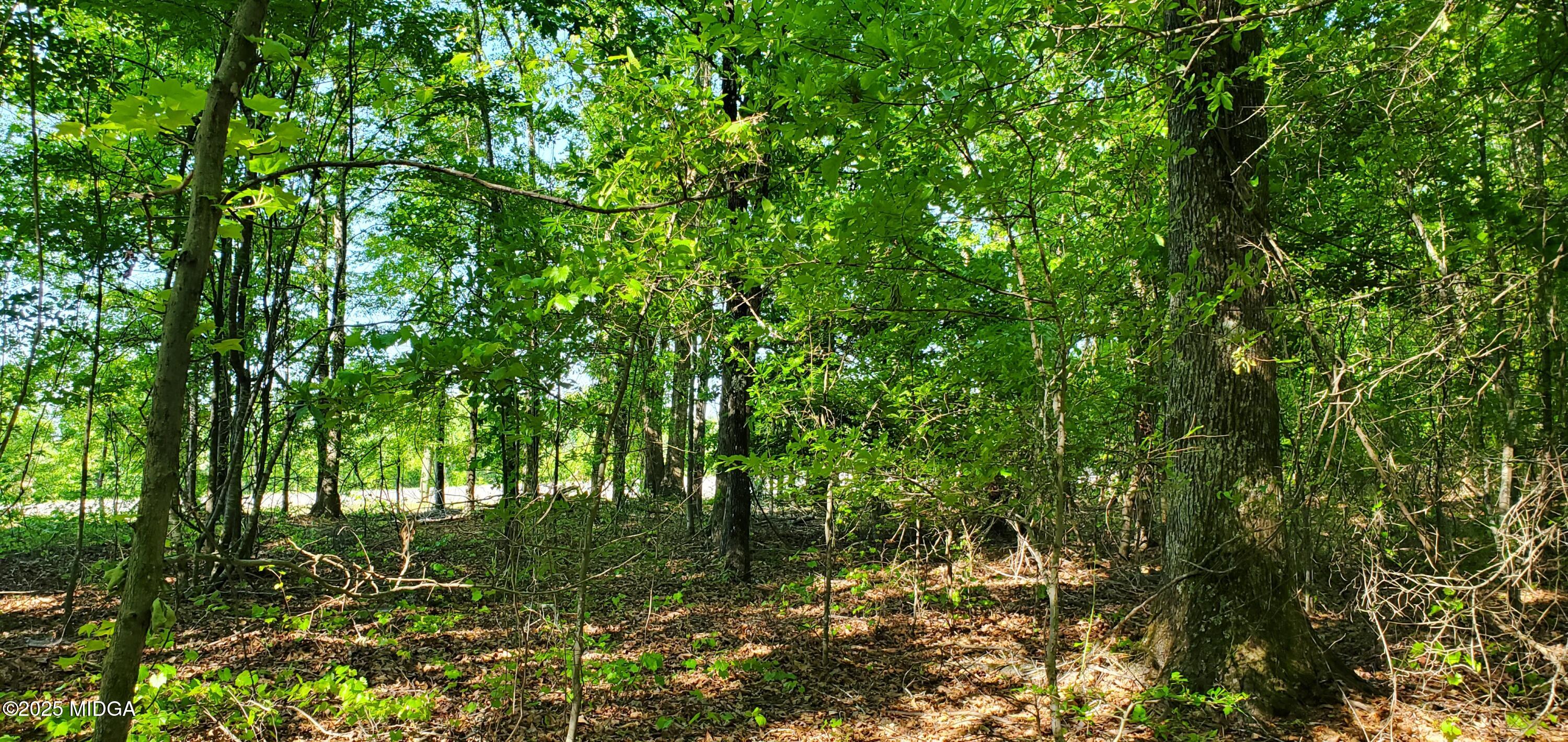 0 Highway 57 Lot 2-A