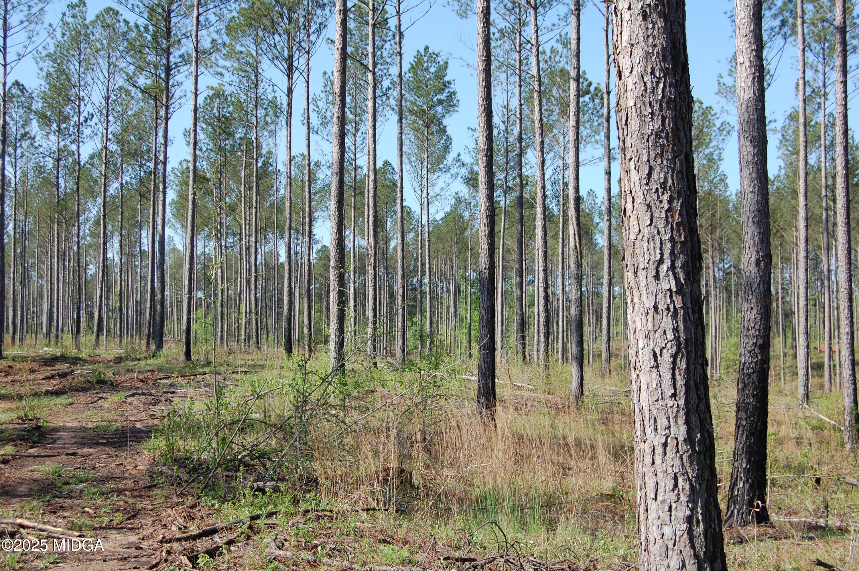 0 Watson Road East TRACT 7