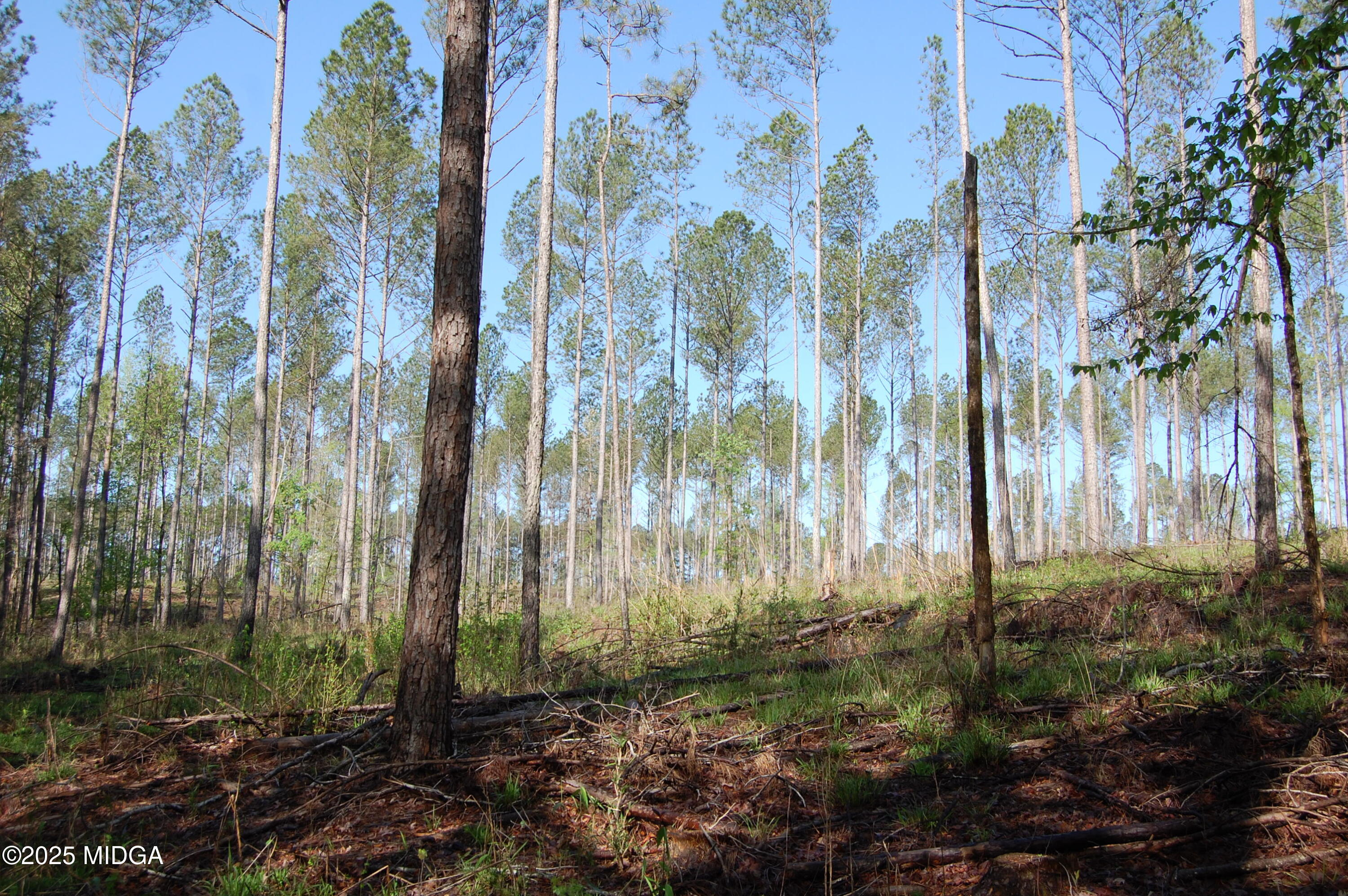0 Watson Road East TRACT 7