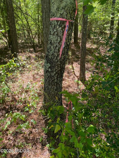 0 Maynards Mill Road Parcel 7 Forsyth GA 31029