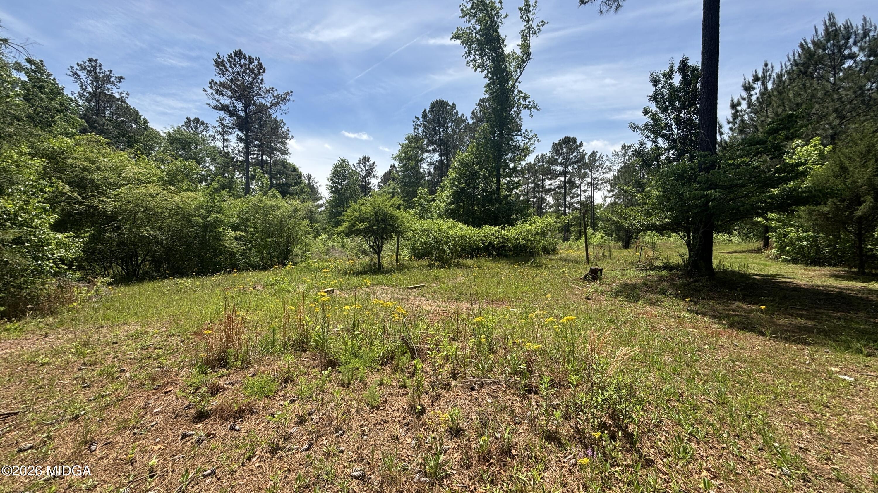 537 Zellner Road