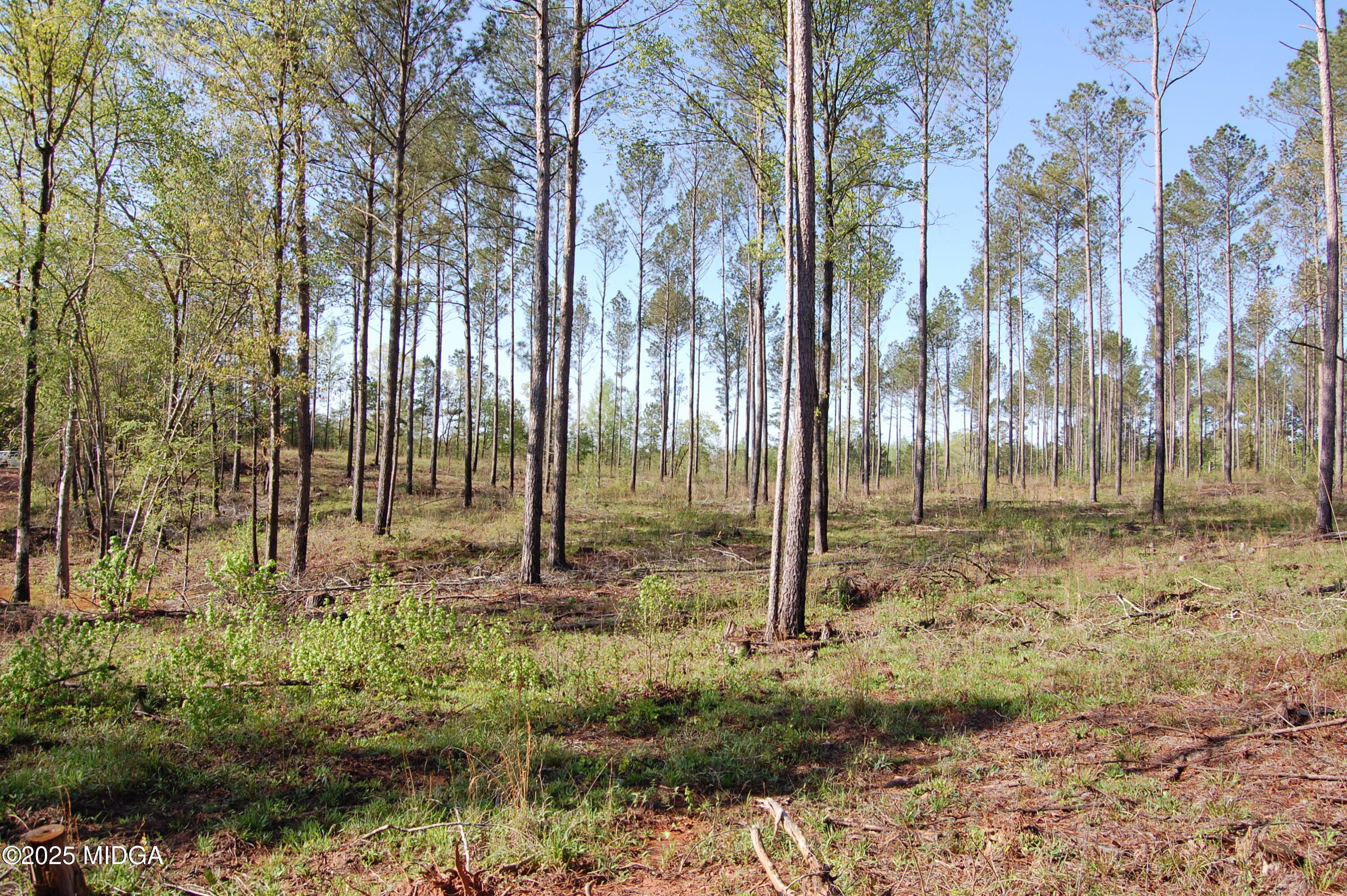 00 Watson Road East TRACT 8