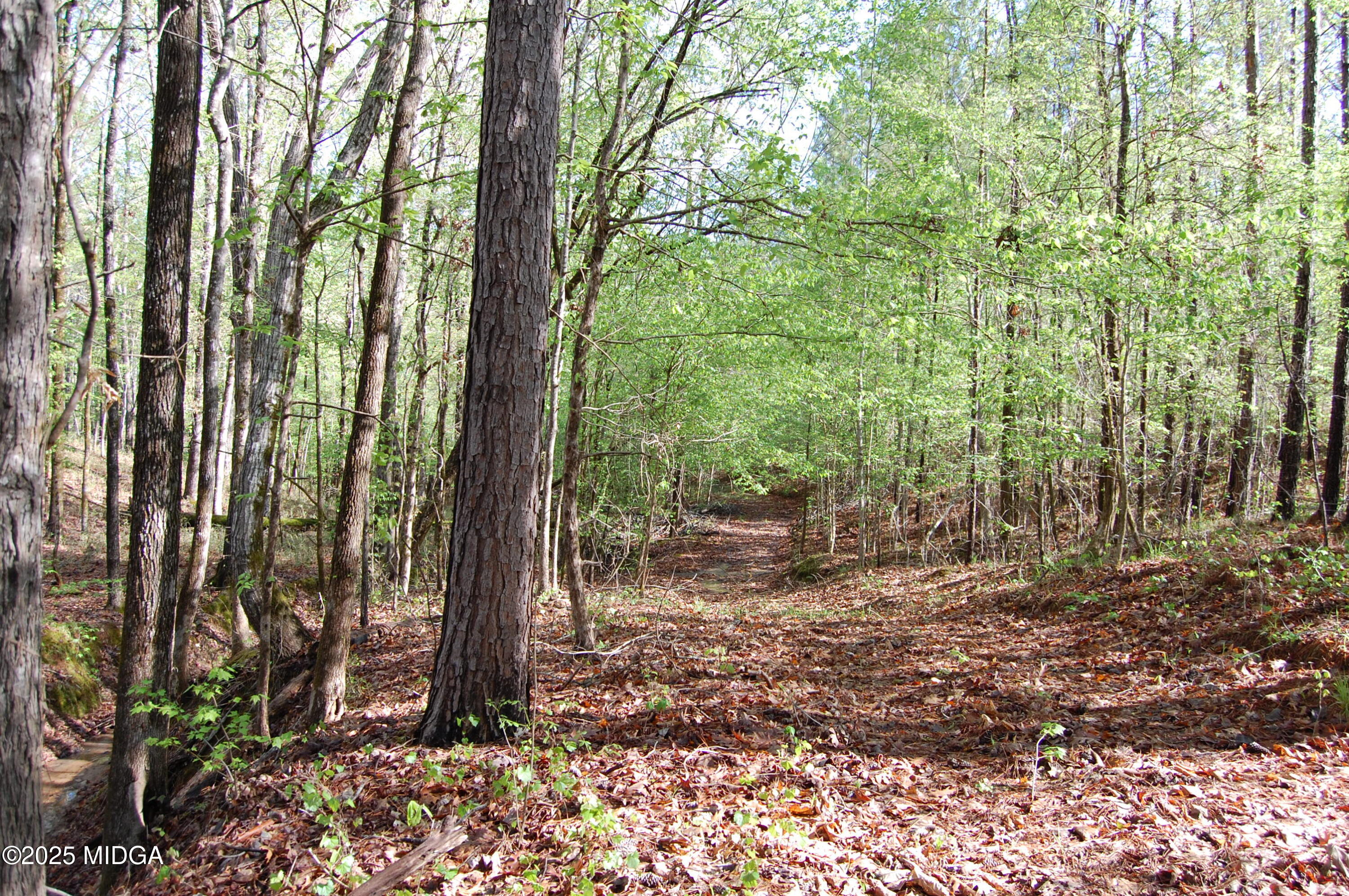 00 Watson Road East TRACT 8