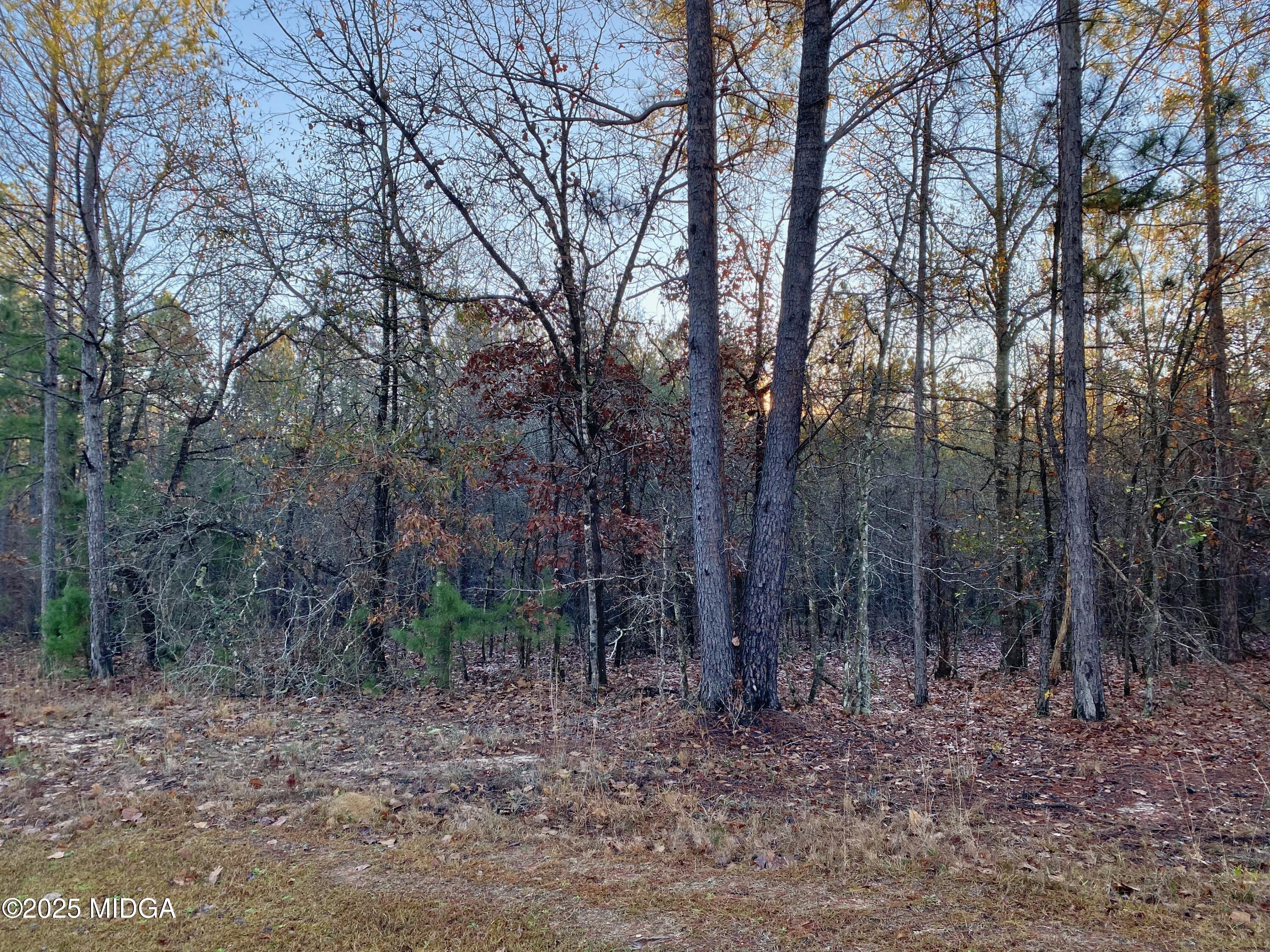 0 Oak Ridge Drive
