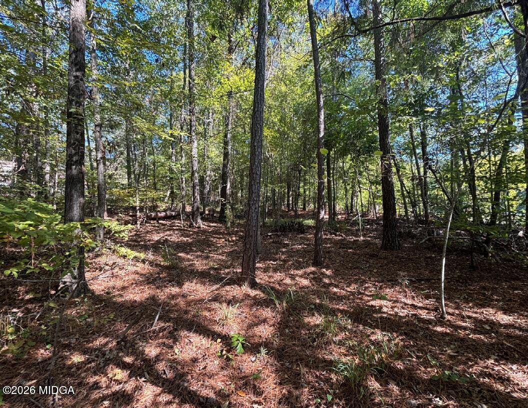104 Little River Trail