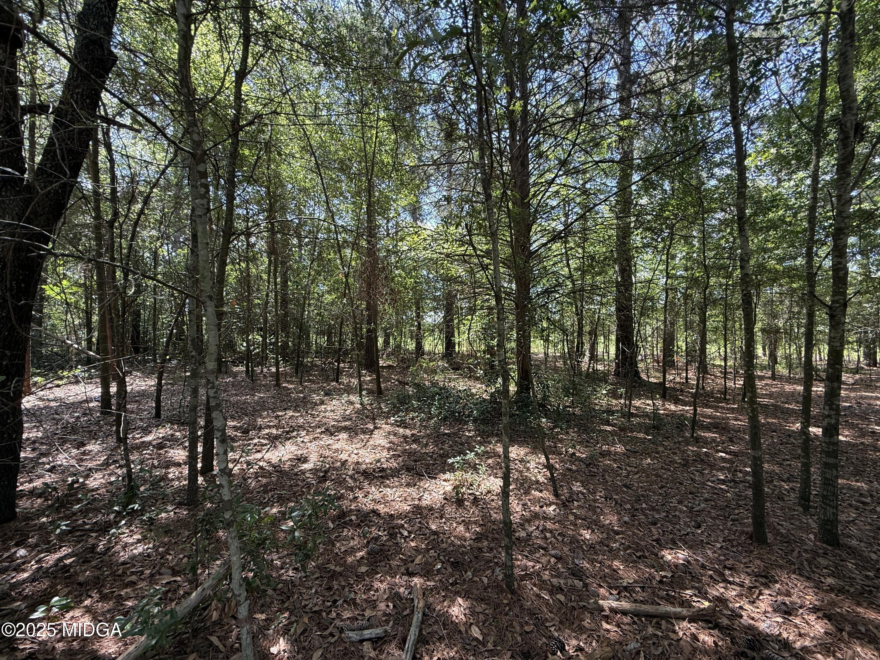0 Fairway Lane