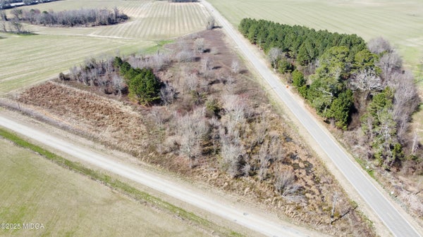 1 COUNTY LINE RD, HAWKINSVILLE, GA 31036 - Image 4d5c21d06a105d460a830aeb6a1d4c73/2083172080