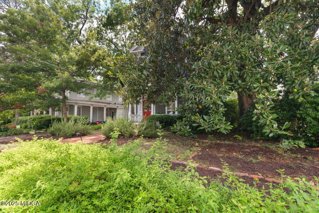 941 Park Place