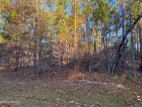 0 Oak Ridge Drive Butler GA 31006