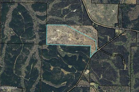 0 none Talbotton GA 31827