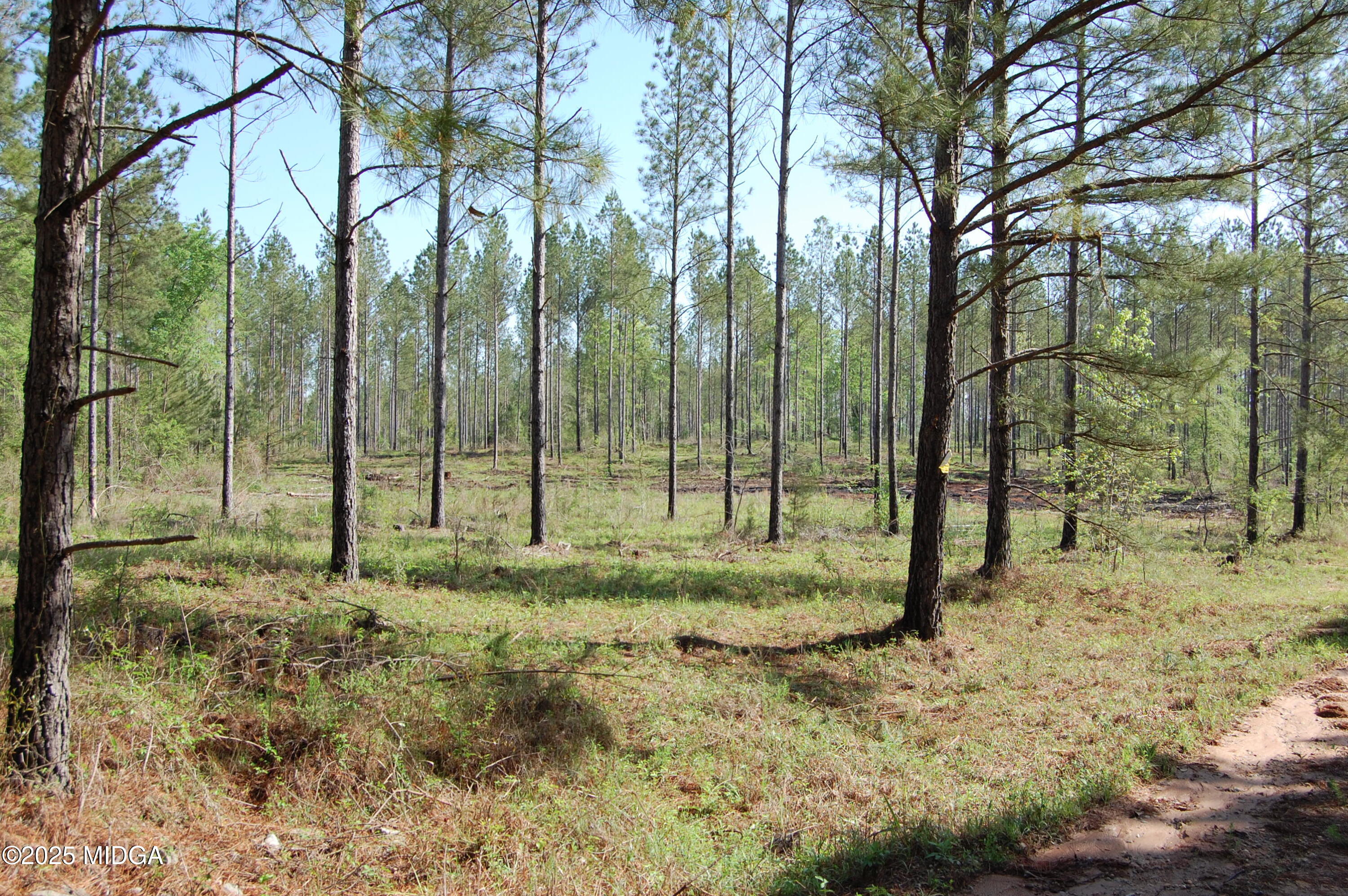 000 Watson Road East TRACT 11