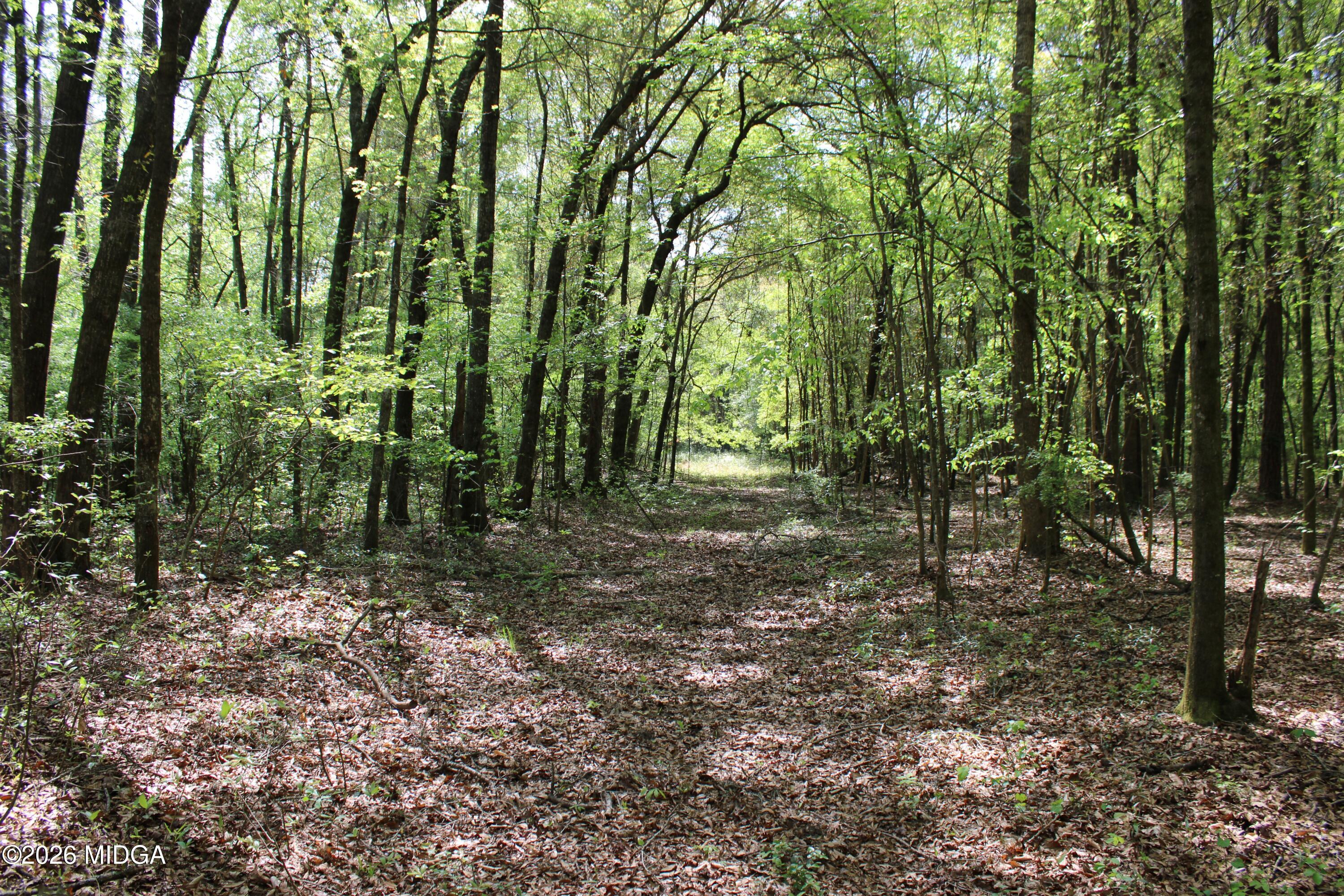 2 Ruffner Road