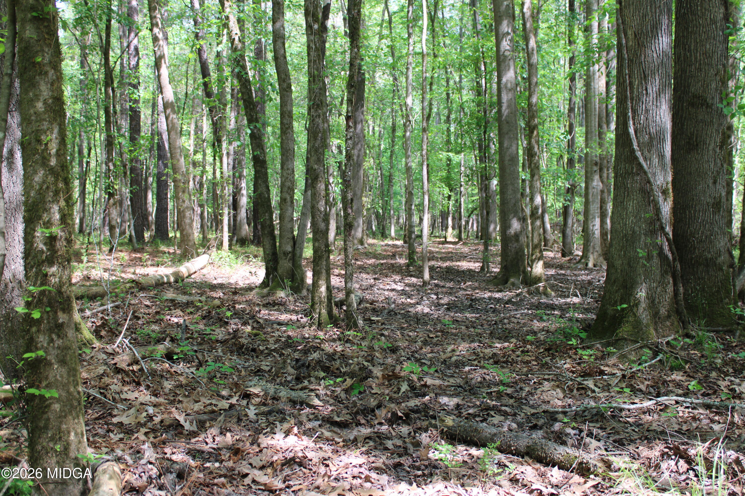 2 Ruffner Road