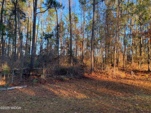 0 N Oak Ridge Drive Butler GA 31006
