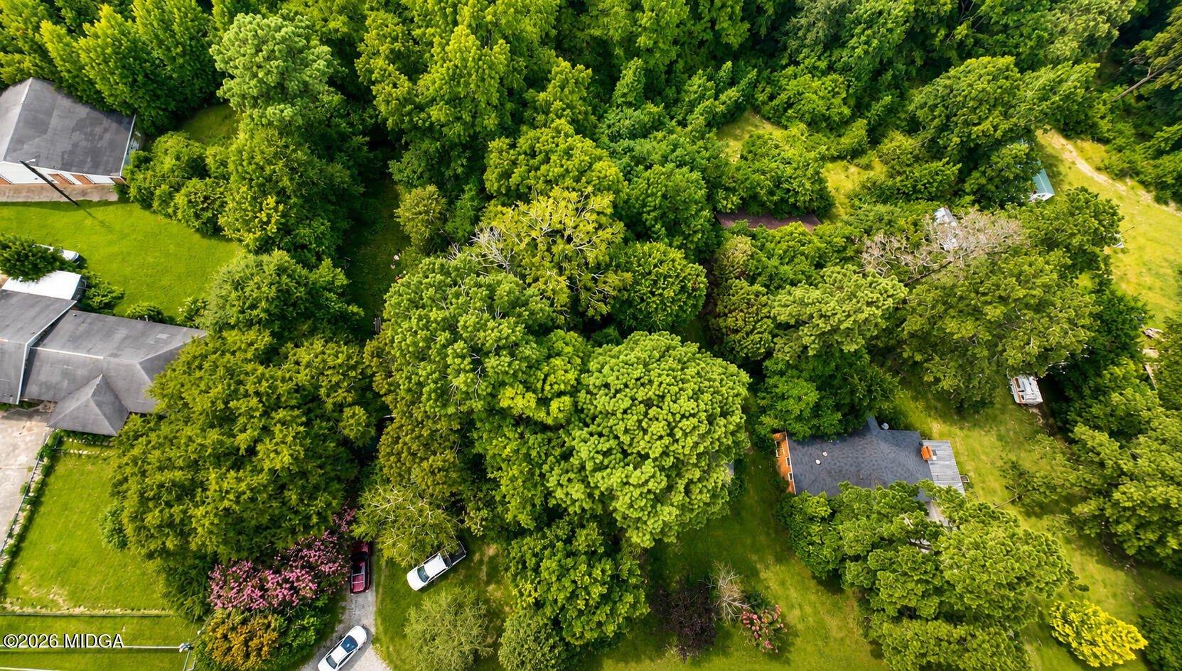 3779 Dorothy Drive