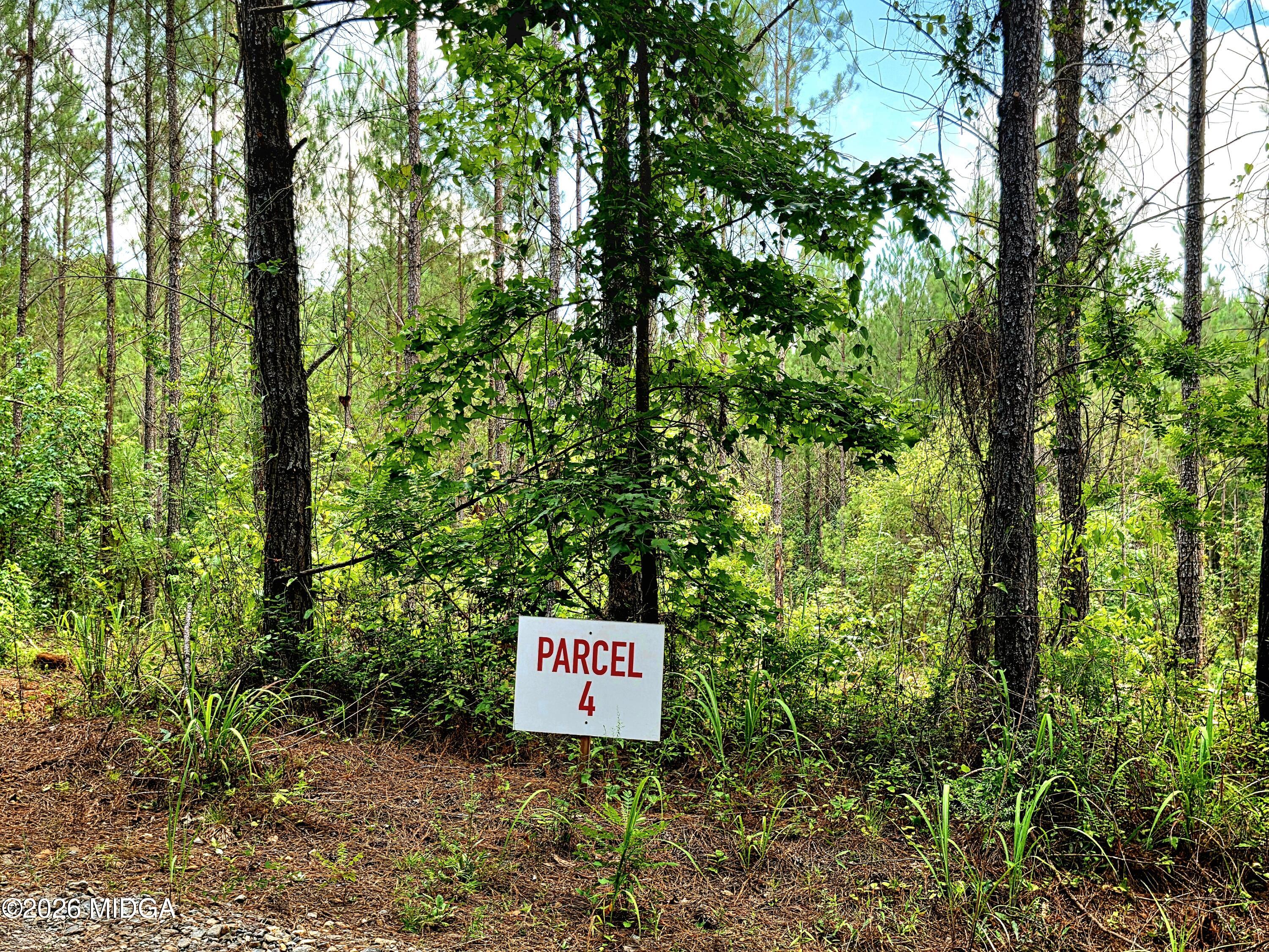 0 Highway 42 S Lot 4