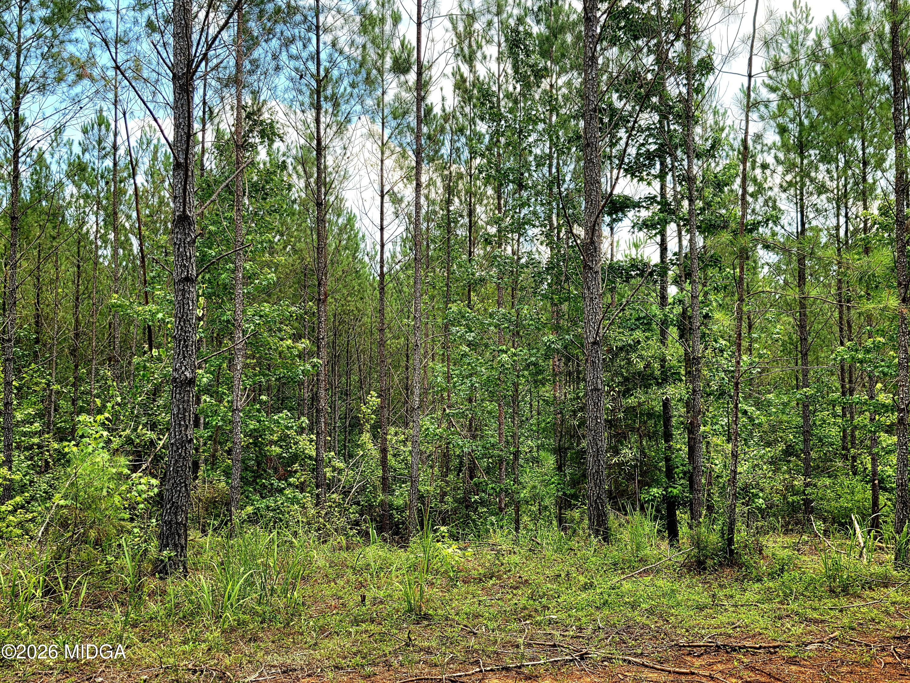 0 Highway 42 S Lot 4