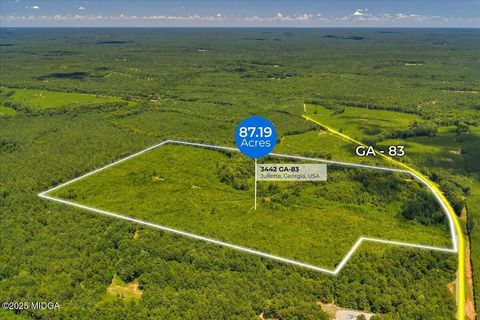 3442 Highway 83 N Forsyth GA 31029