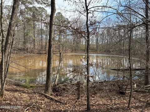 500 Askin Place Culloden GA 31016