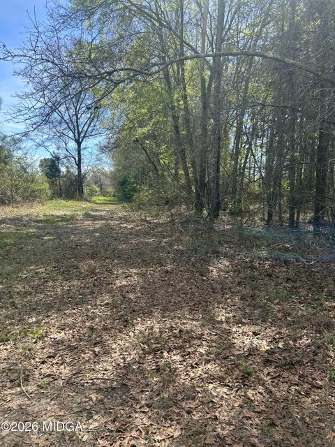 0 Cochran Highway 0 Hawkinsville GA 31036