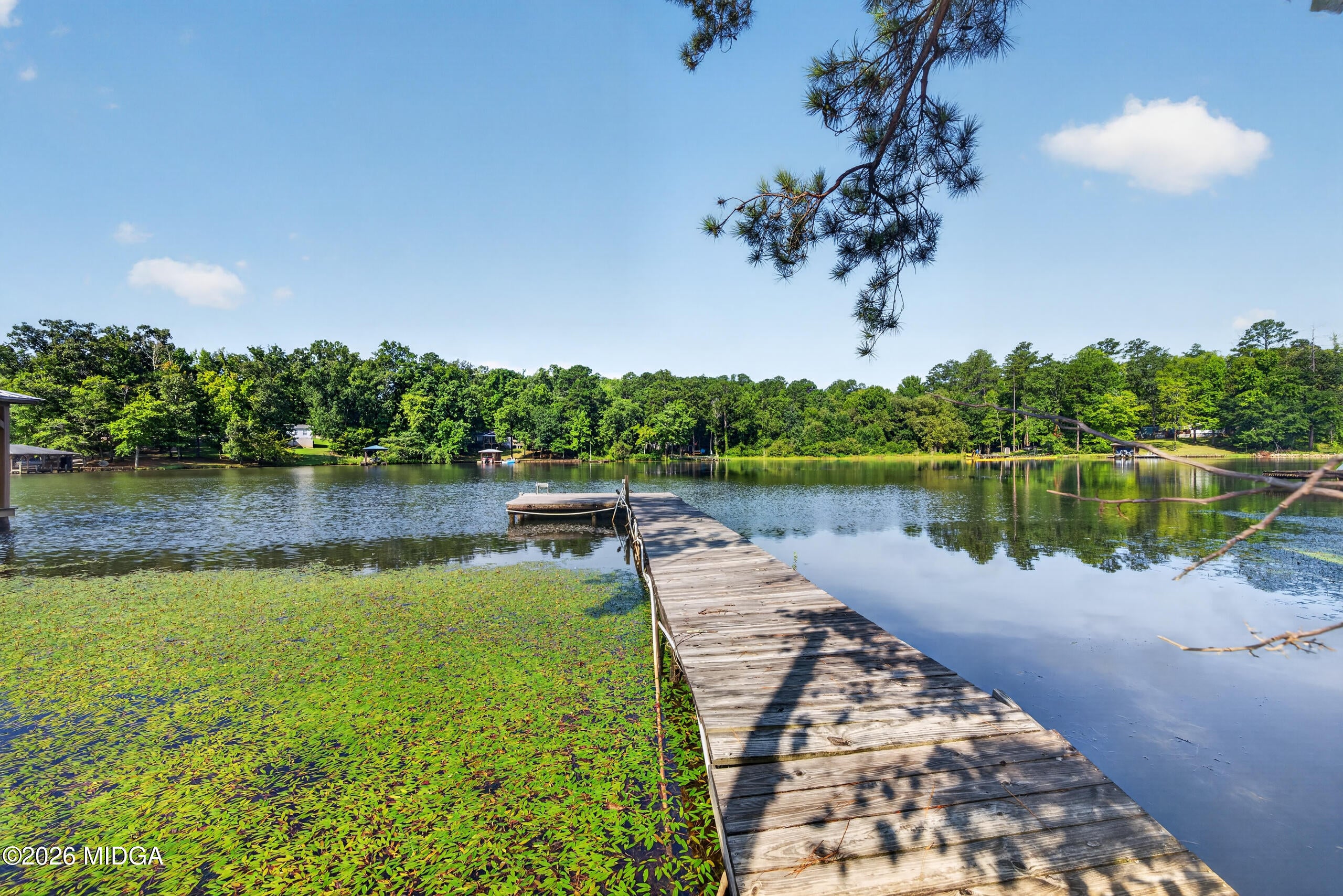 82 Loblolly Drive