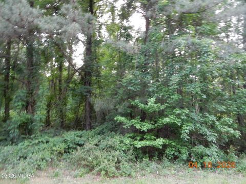 1065 Dent Road Musella GA 31066
