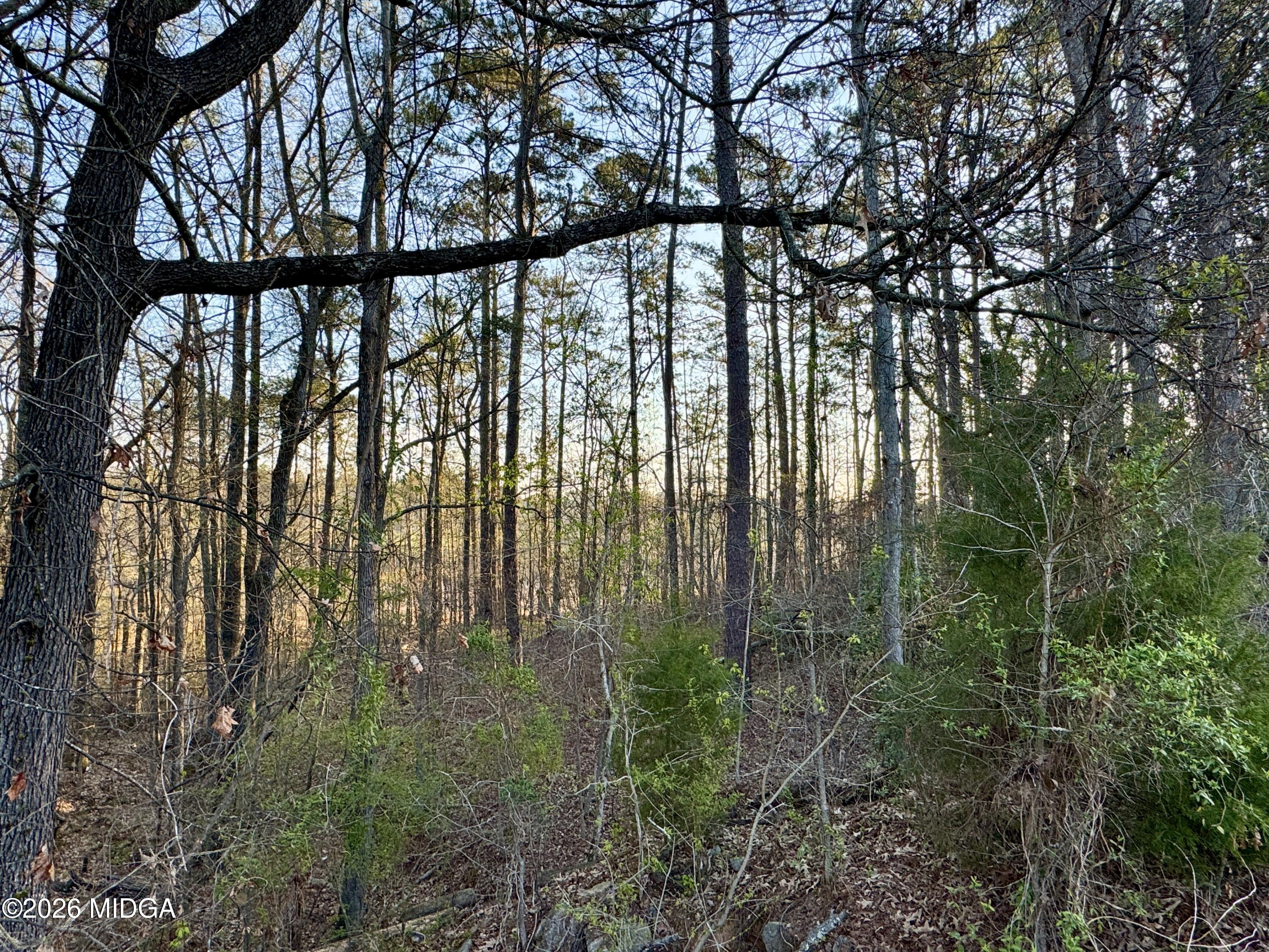 1954 Wood Valley Road