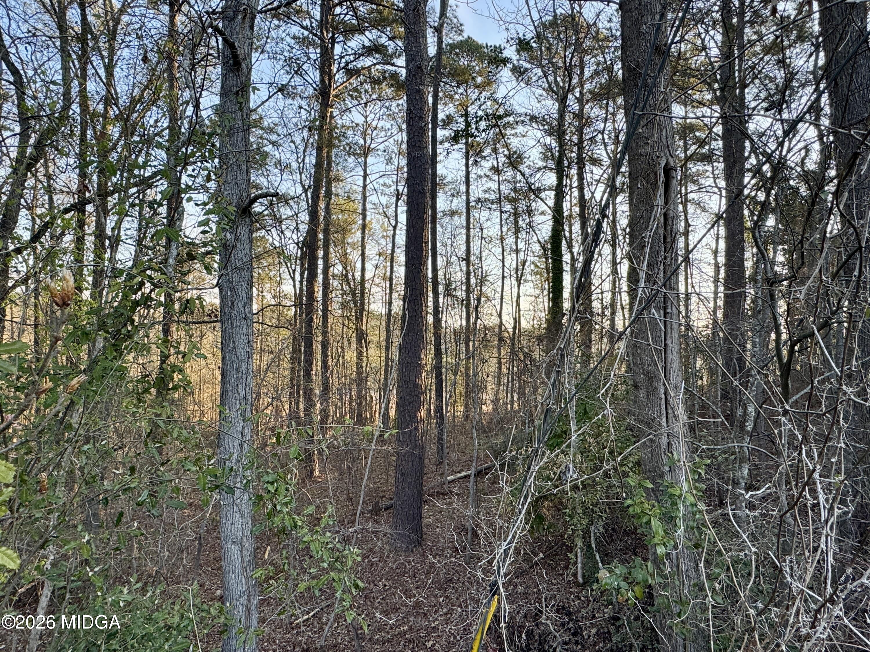 1954 Wood Valley Road