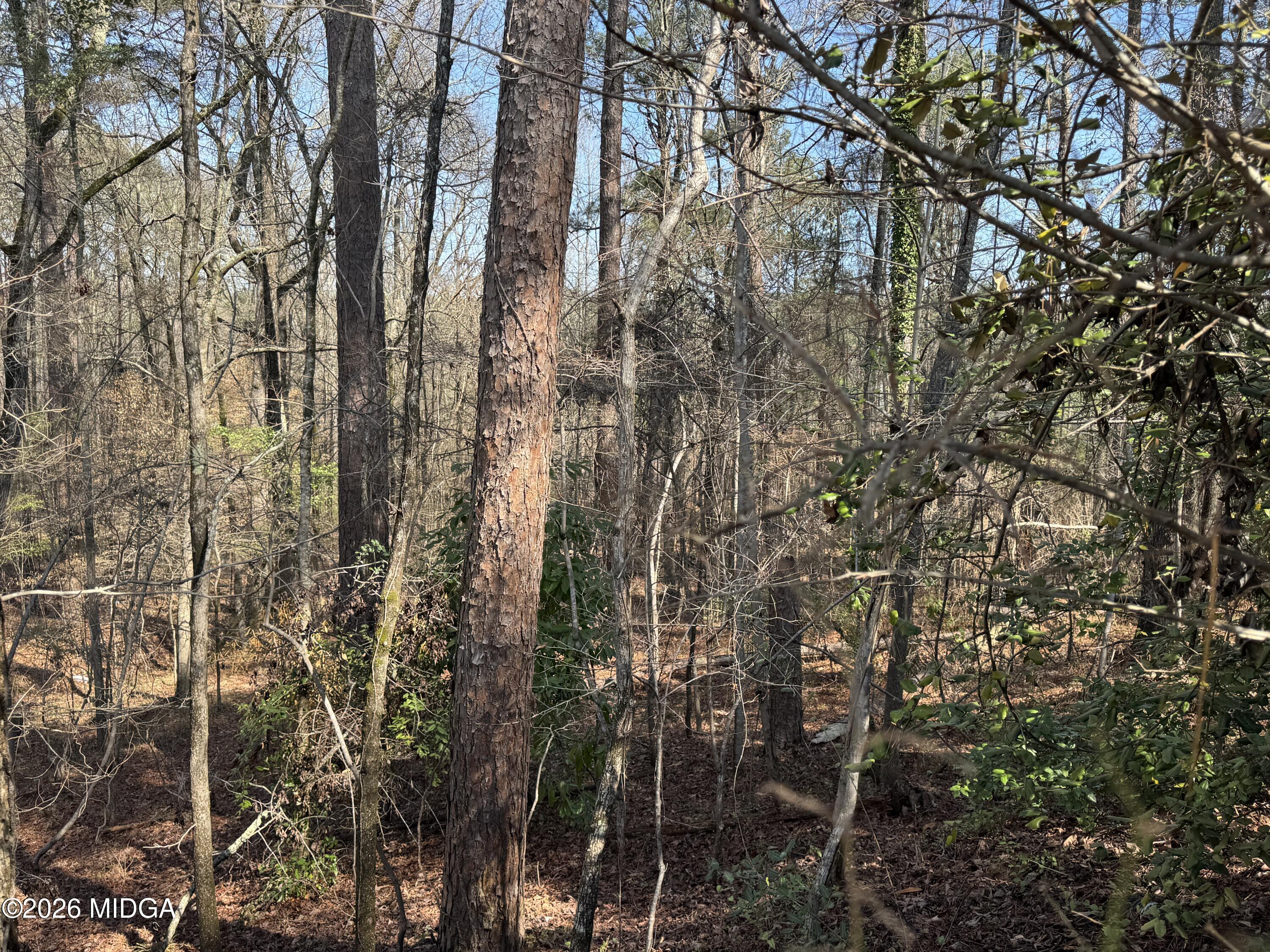 1954 Wood Valley Road