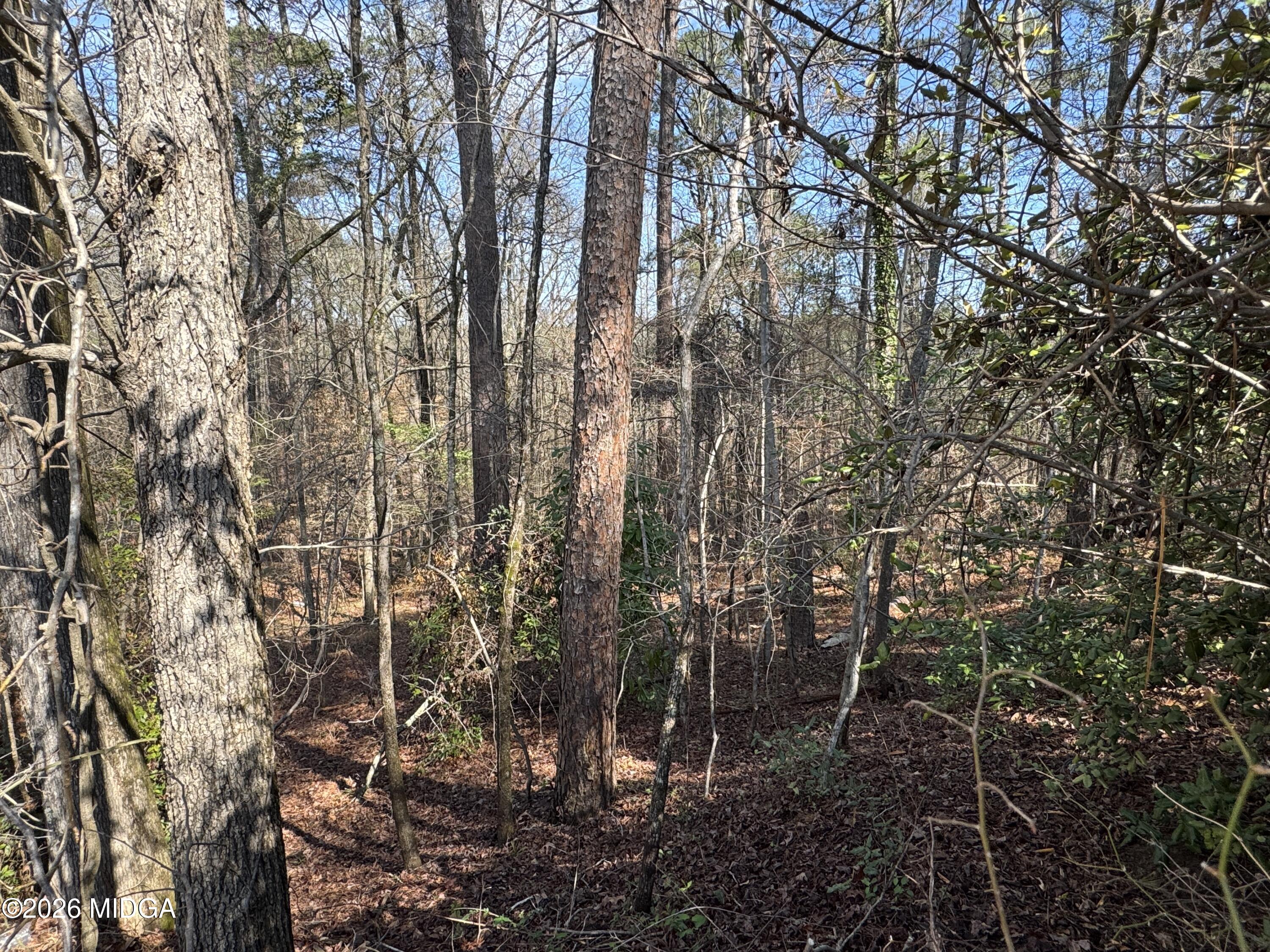 1954 Wood Valley Road