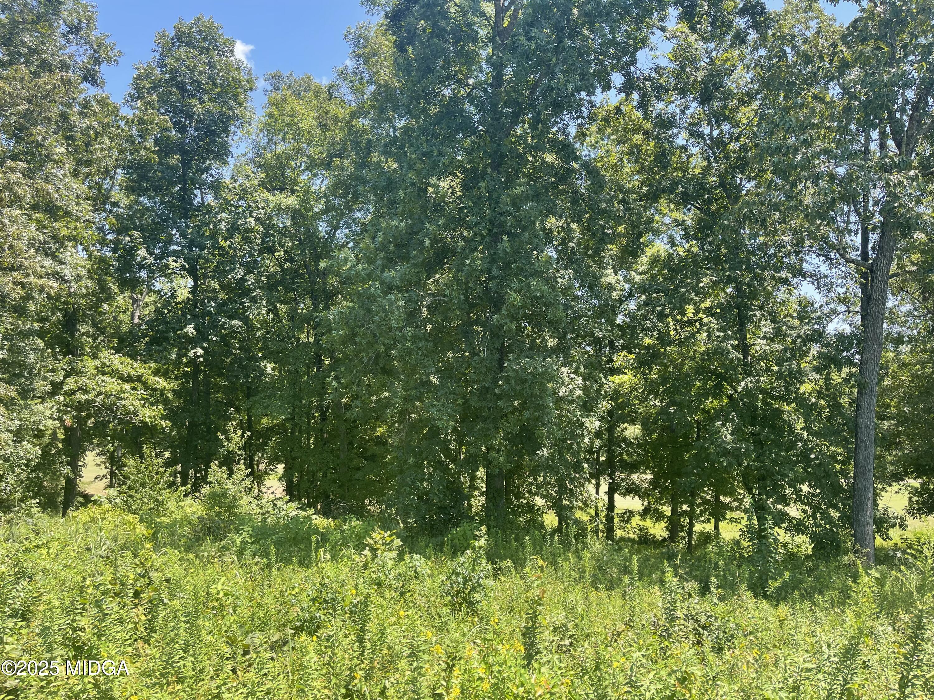 Lot 11 Oak Drive
