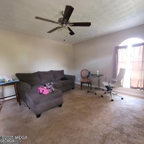 2884 Haddon Drive