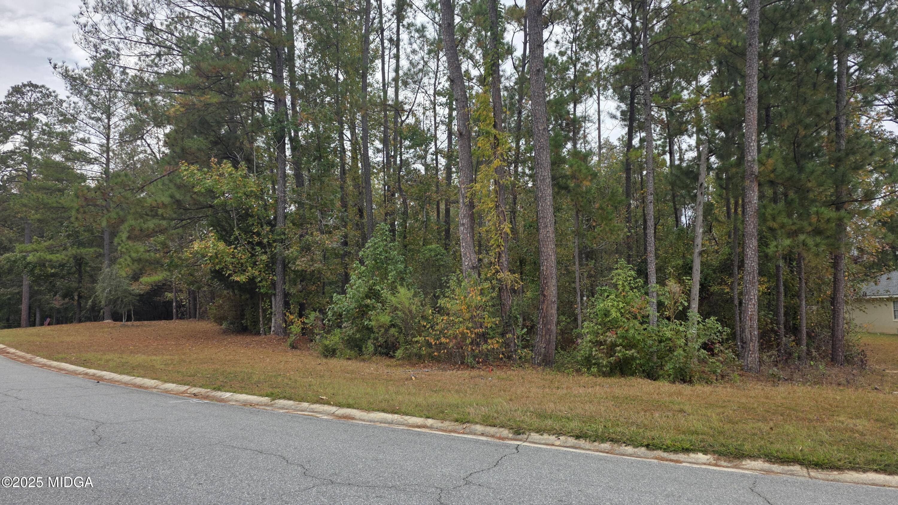 215 Falcon Crest Crest