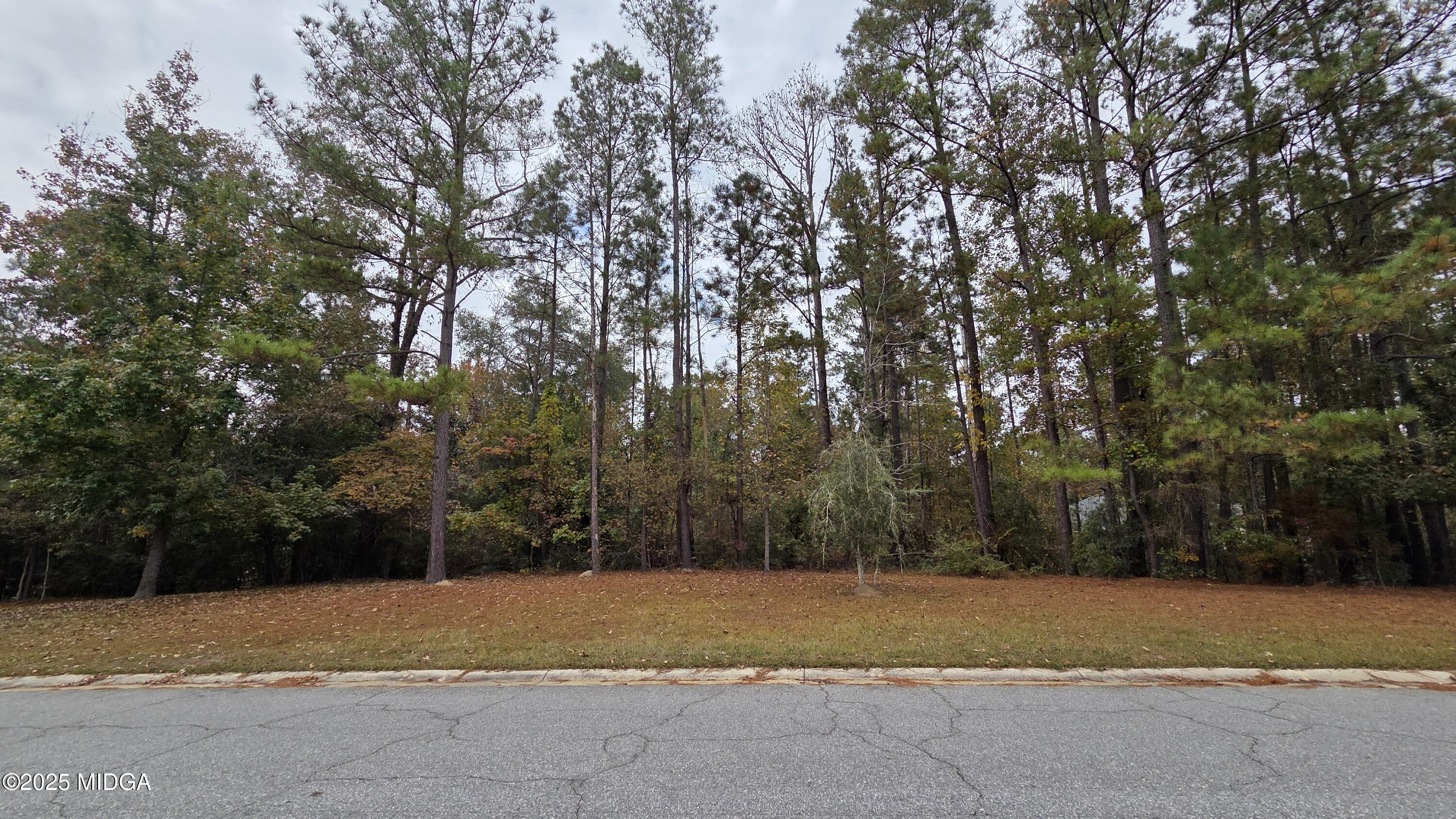 215 Falcon Crest Crest