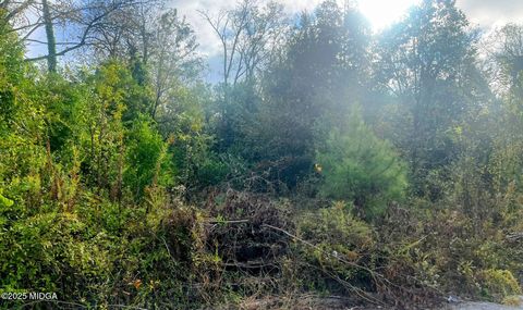 992 Bartlett Street Macon GA 31204