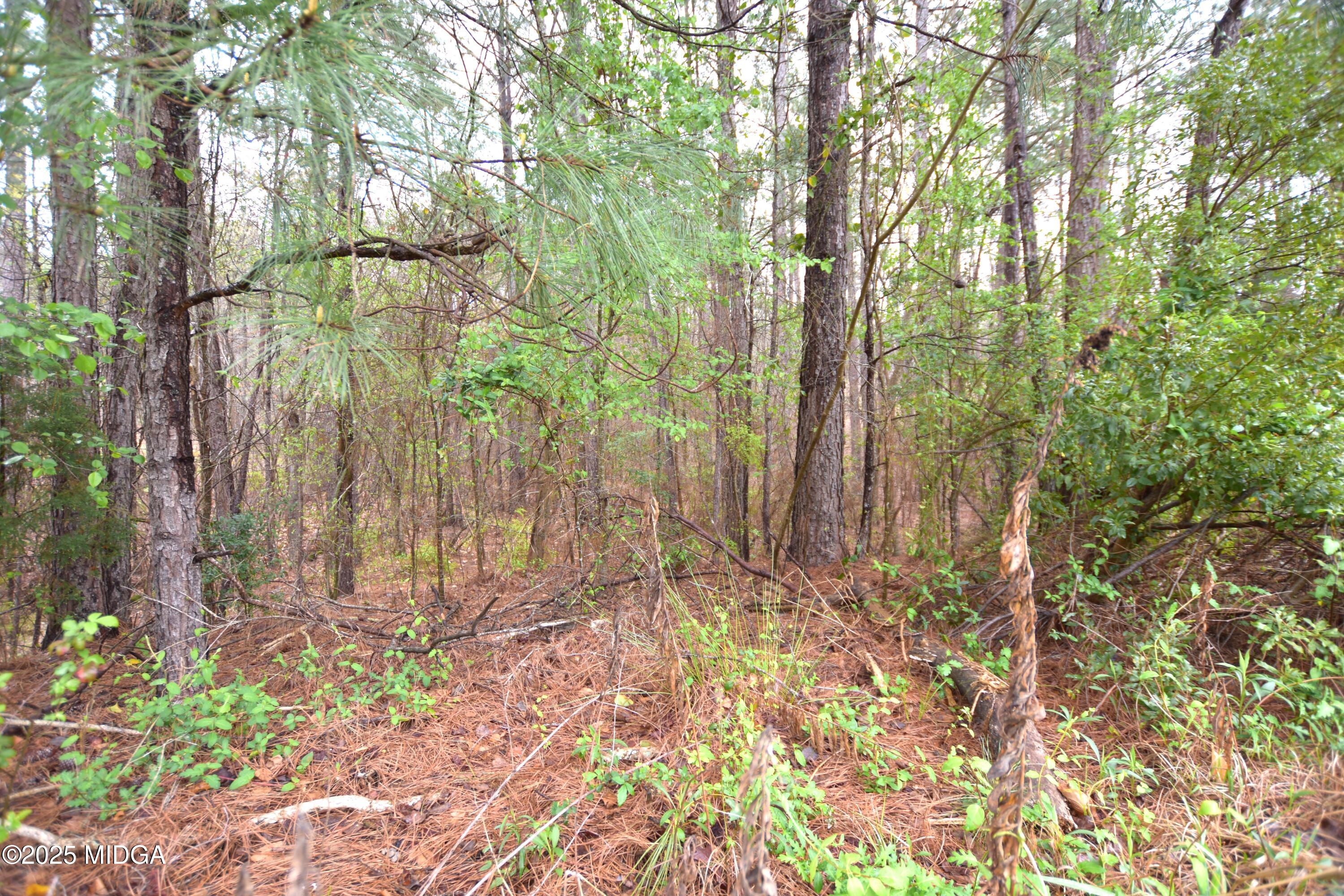 116 Nautica Point