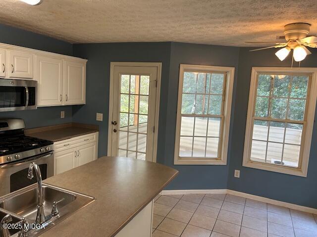 312 Black Willow Court