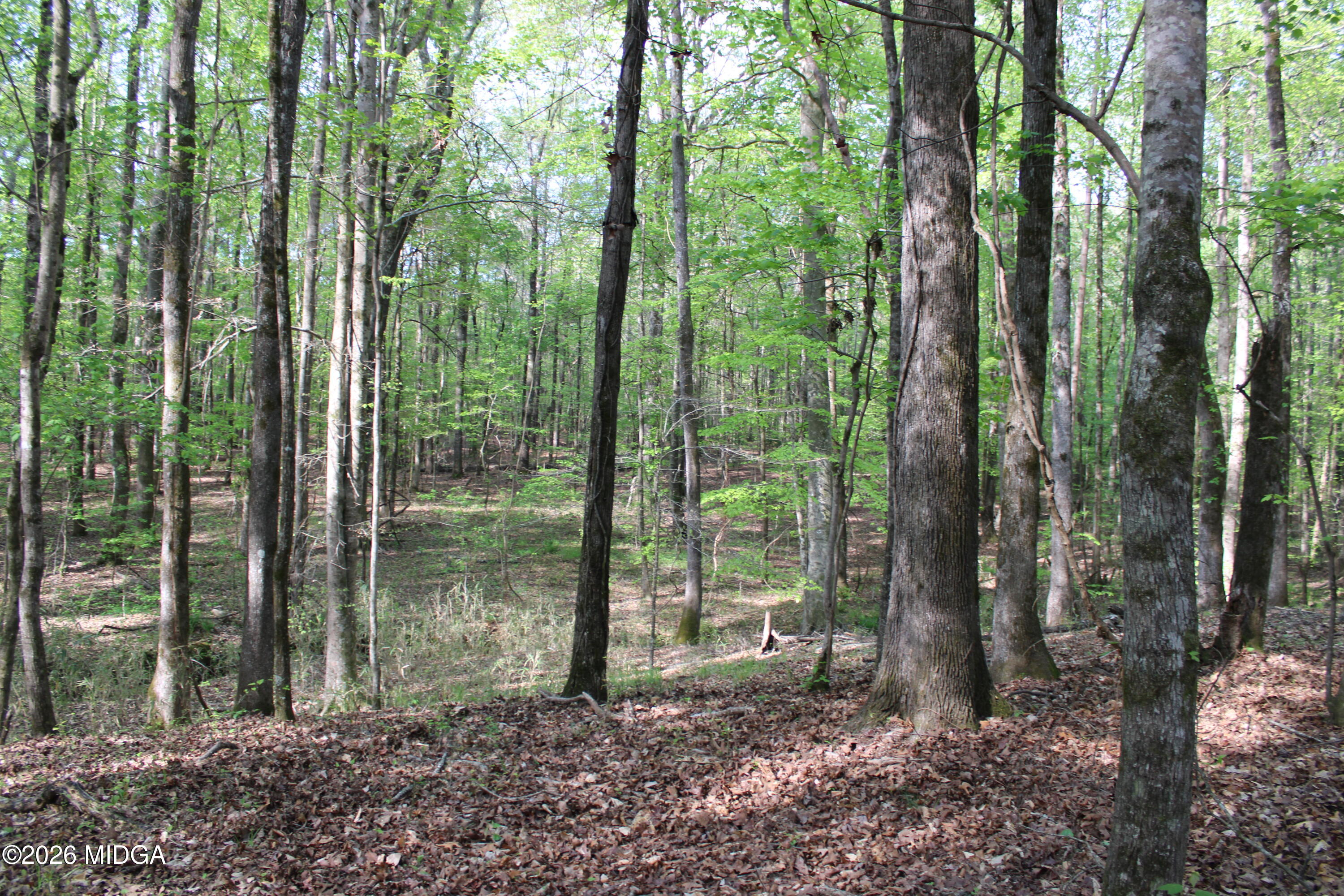 01 Ruffner Road
