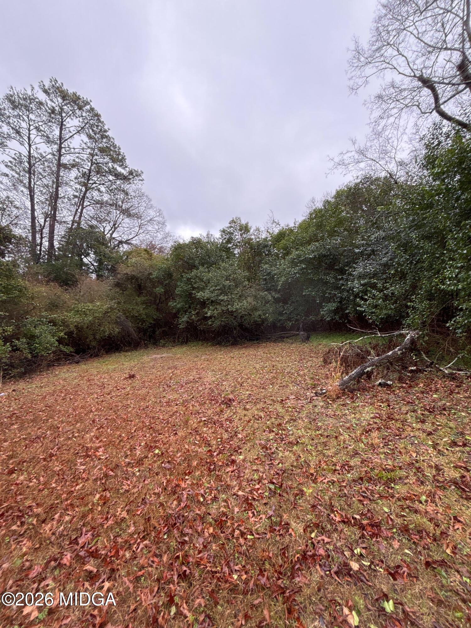 3120 Bloomfield Drive