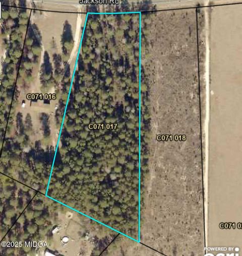 lot 99 Jackson Road Roberta GA 31078