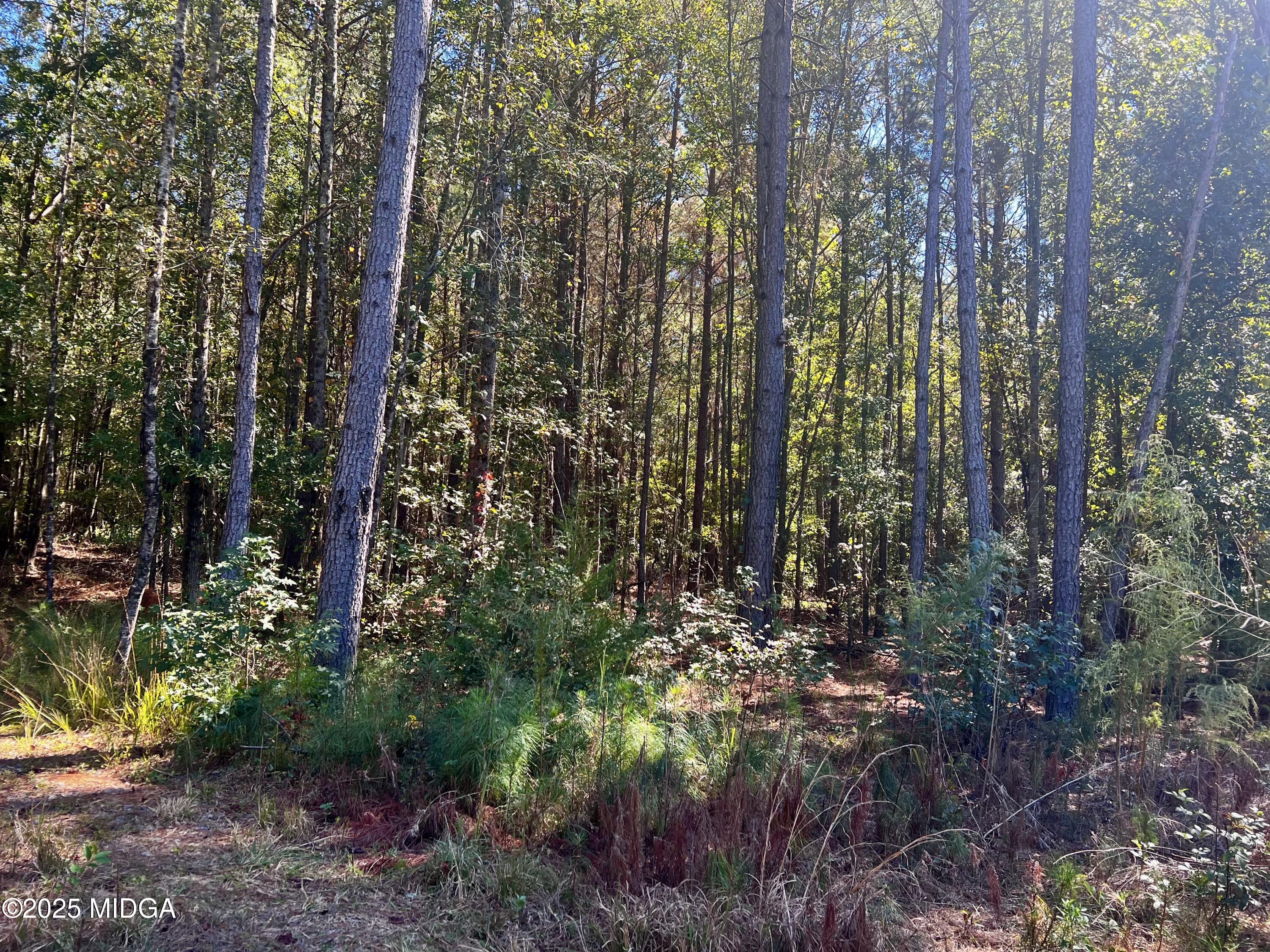 0 Parks Road