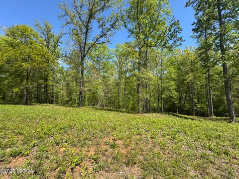 126 Laurel Ridge Forsyth GA 31029