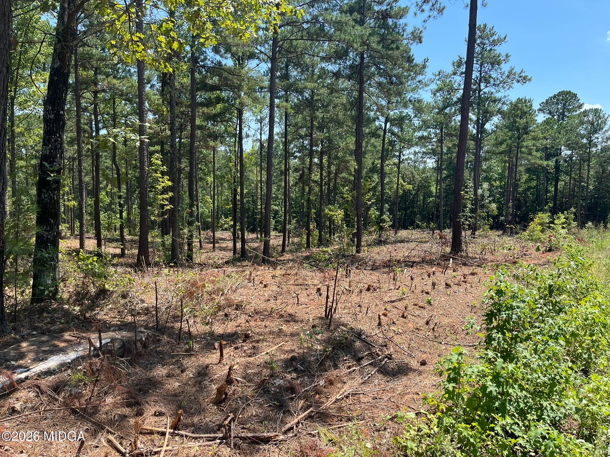Lot 20 Gordon Road