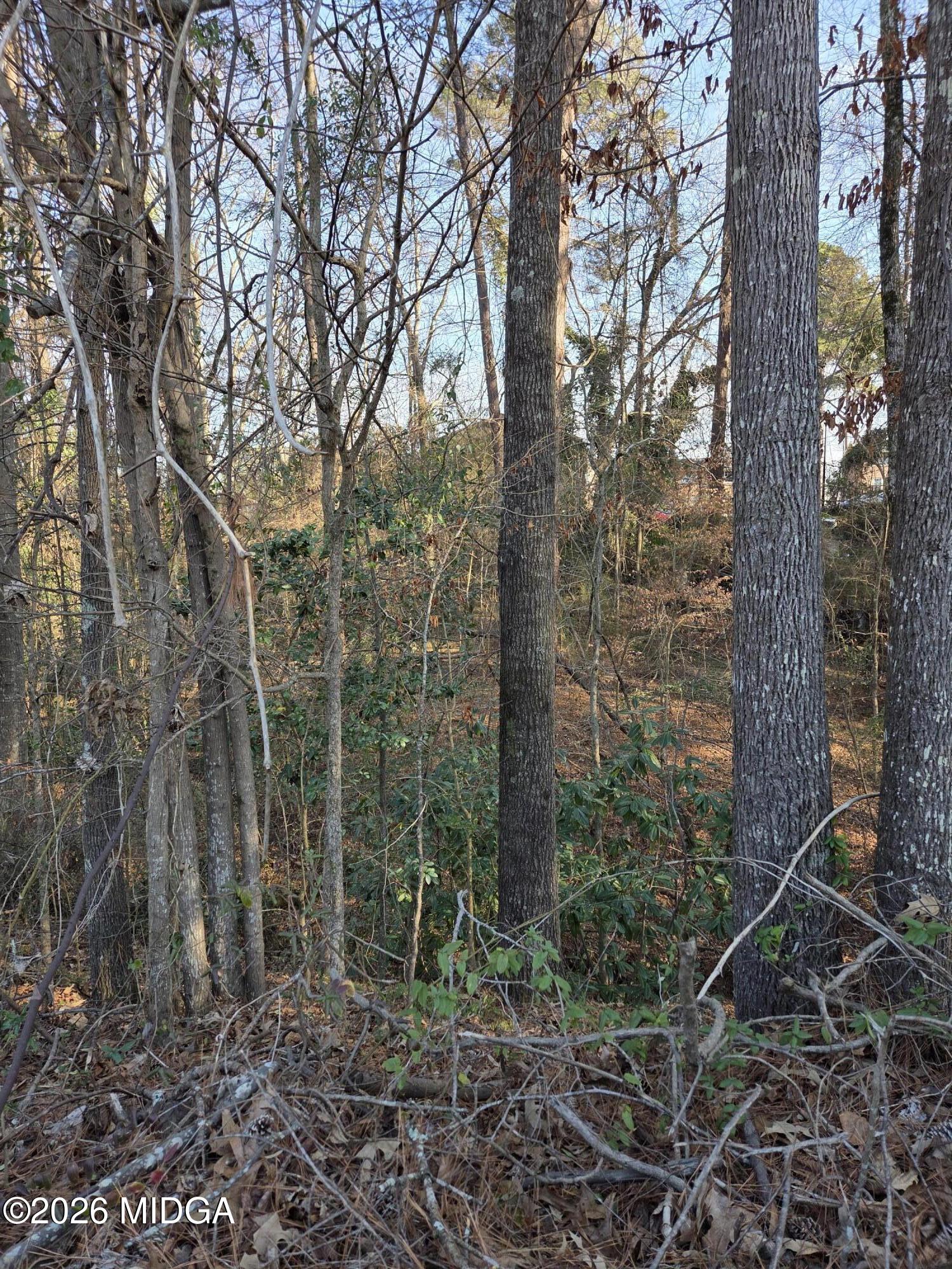 1976 Long Ridge Drive